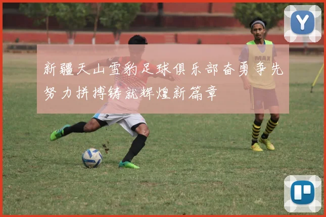 新疆天山雪豹足球俱乐部奋勇争先努力拼搏铸就辉煌新篇章