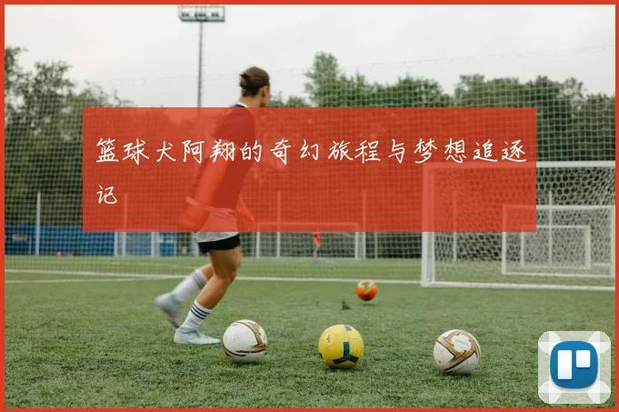 篮球犬阿翔的奇幻旅程与梦想追逐记