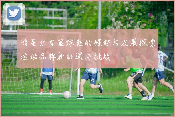 鸿星尔克篮球鞋的崛起与发展探索运动品牌新机遇与挑战