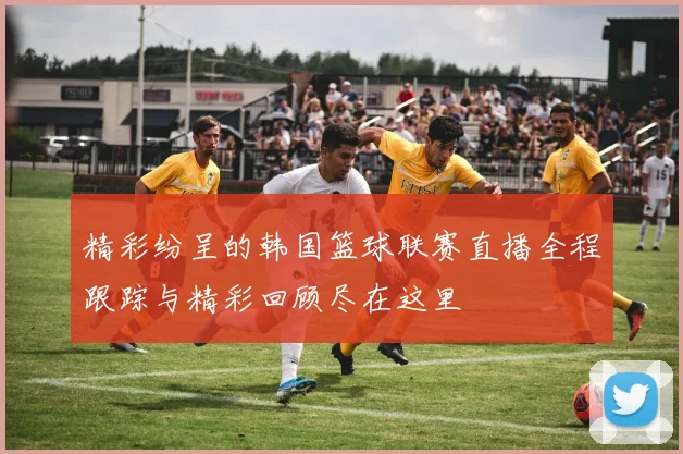 精彩纷呈的韩国篮球联赛直播全程跟踪与精彩回顾尽在这里